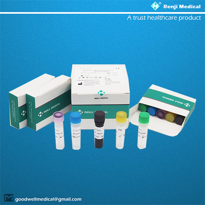Bộ phát hiện axit nucleic trên khỉ đậu mùa (MPV) (Phương pháp PCR thời gian thực)