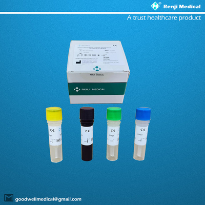 Novel Coronavirus COVID-19 Bộ xét nghiệm axit nucleic Thử nghiệm CE Định tính Rt Pcr