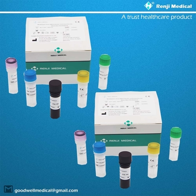 Bộ dụng cụ phát hiện axit nucleic của vi-rút Monkeypox (MPV) Bộ dụng cụ xét nghiệm nhanh tại nhà Bộ dụng cụ PCR thời gian thực