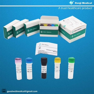 Bộ dụng cụ phát hiện axit nucleic của vi-rút Monkeypox (MPV) Bộ dụng cụ xét nghiệm nhanh tại nhà Bộ dụng cụ PCR thời gian thực