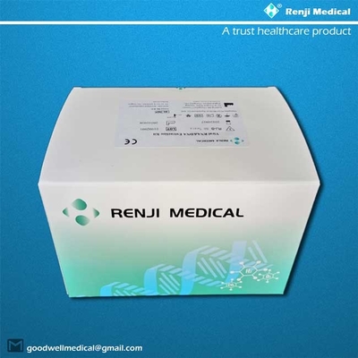 Bộ chiết xuất axit nucleic Renji, Bộ làm sạch hạt từ tính Viral Rna