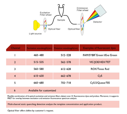 Máy chiết xuất axit nucleic MSDS, Máy PCR định lượng thời gian thực MA6000
