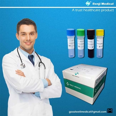 Bộ kiểm tra axit nucleic có độ nhạy 95%, Bộ phát hiện Rt Pcr 40-90 phút